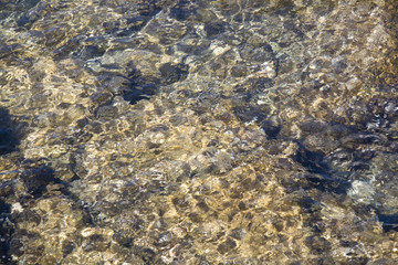 Fondale marino