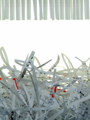 Shredded Documents