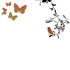 FLORAL OISEAU PAPILLON