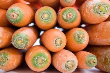 Close up of a bundle of freshly harvested carrots.