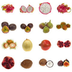Collection of exotic fruits , isolated on white