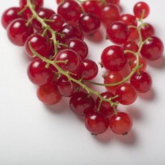 Red currant