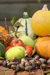 Pumpkins and acorns in an autumn display