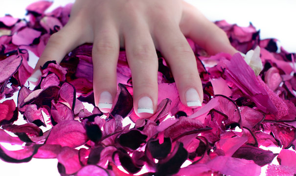 Fingers, beautiful nails on violet rosen