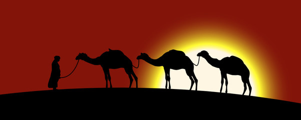 The caravan of camels