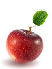 apple