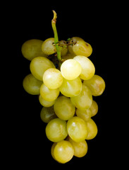 grape  on black bottom..