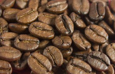 coffee beans, macro