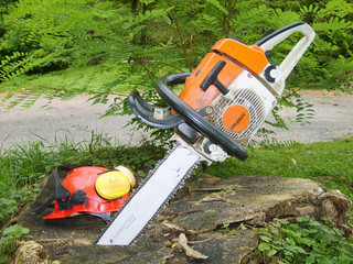 Tronçonneuse dans souche