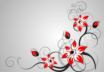 Floral abstraction