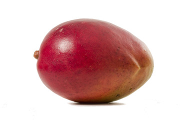 frutto del mango