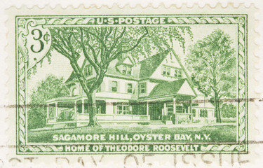 This is a Vintage 1953  Home of Theodore Roosevelt
