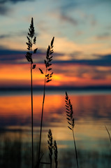 Fototapeta na wymiar watching a sunset on the calm water