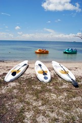 Kayaks and Paddle Boats