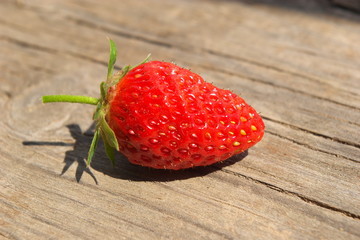 Garden strawberries