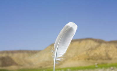 Feather