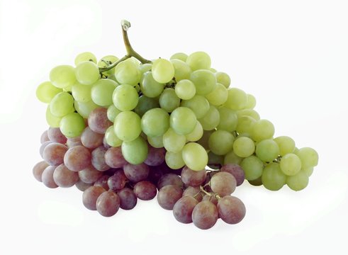 pink and white grapes