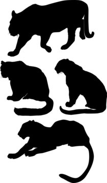 four big cat silhouettes