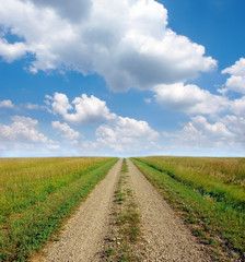 Dirt road through the prairie lands of the American Mid-West.