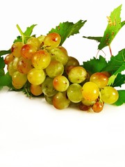 grappe de muscat d'Alexandrie