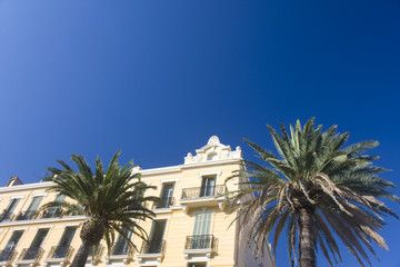Fototapeta na wymiar old villa with palm trees