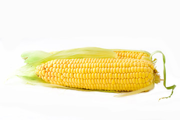Sweetcorn