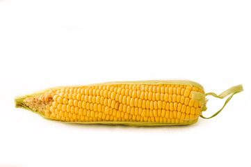 Corn on the cob.