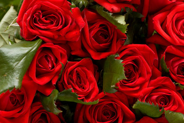 bunch of red roses background, macro shot
