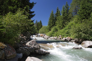 Fototapeta premium vermigliana 2