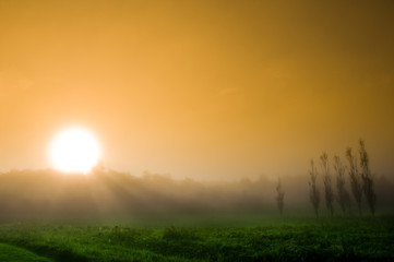 beautiful sunrise over a field in the countryside