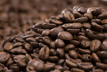 Close up of pile of coffee beans
