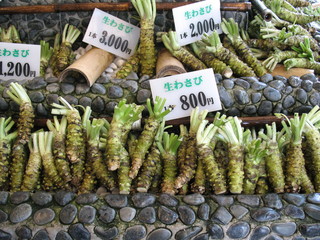 Fototapeta premium Korzeń wasabi na sprzedaż na typowym japońskim rynku