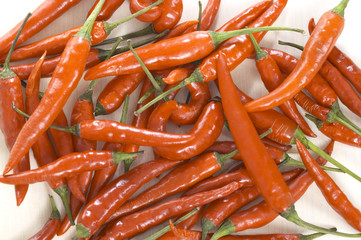 red chilli