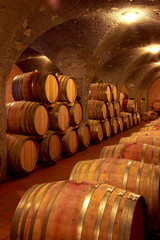 Weinkeller,Rotwein im Barrique Faß ausgebaut,Toskana,Italien - 9503541