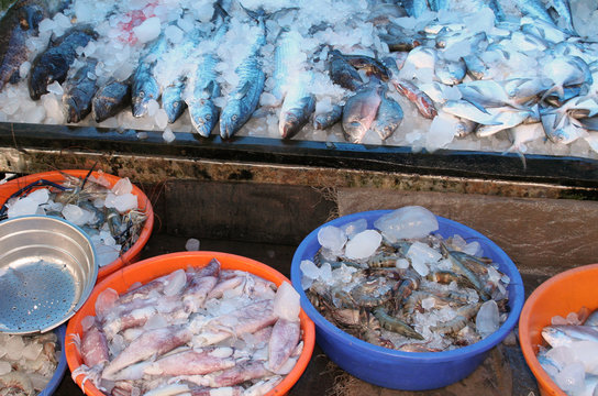 Fischmarkt