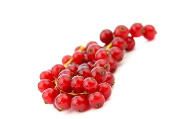 Rote Johannisbeeren