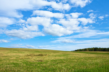 Fototapeta na wymiar Sunny day with blue sky and autumn field