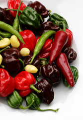 bunte Chilimischung I