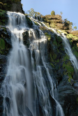 Fototapeta premium Powerscourt Waterfall (Ireland highest ), The River Dargle 1