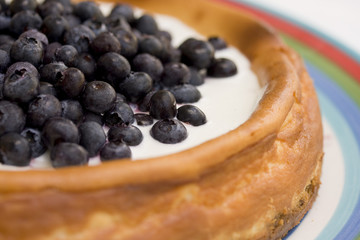 Homemade Blueberry Cheesecake