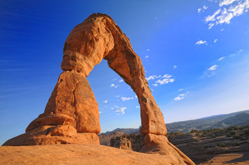 D&eacute;licate Arche