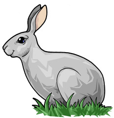 Artistic illustration. Cute hare in the grass