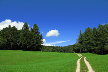 Fototapeta na wymiar Beautiful landscape – countryroad in the nature with blue sky