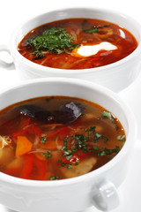 Solyanka and Fish Soup is a Thicks, Spices and Sours Soups