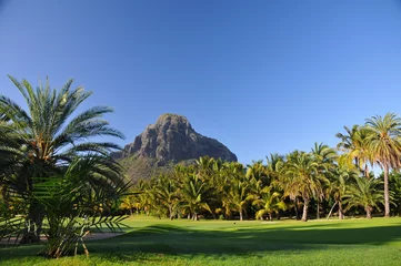 Fotobehang Le Morne, Mauritius Mauritius