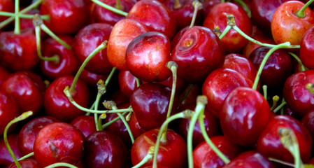 cherry