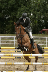 Horse jumping show