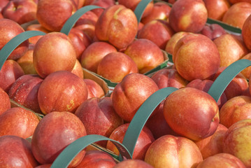 Baskets of Nectarines