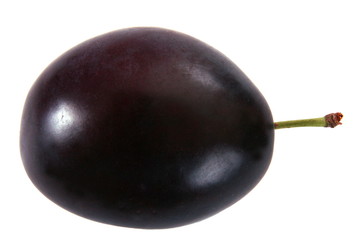 Single  plum isolated on white background