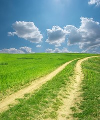Fototapeta na wymiar Path going through a nice green field